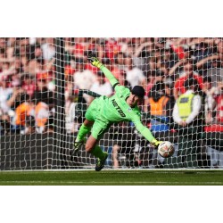 El Crystal Palace derrotó al Manchester City y al Liverpool para alzarse con el doblete.
